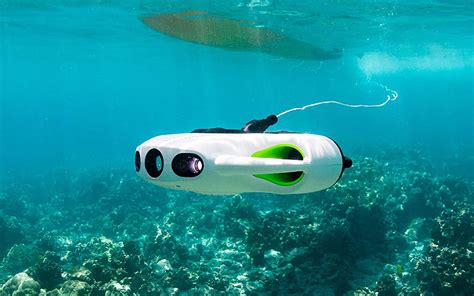 The Thetford Aqua Mavic VI: An Essential Tool for Marine Biologists and Researchers